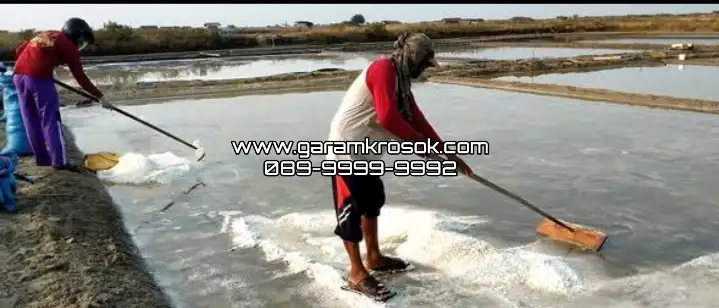 Jual Garam Kasar Mutu Terjamin untuk Industri yang Membutuhkan Konsistensi